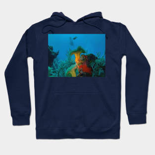 Coral Reef and Scuba Diver Hoodie